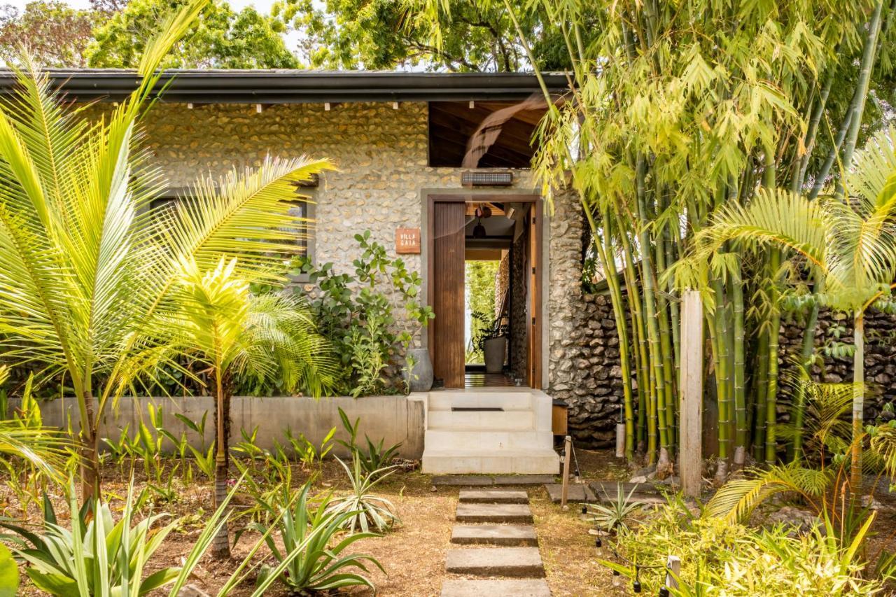 Thea Resort & Retreats - Santa Teresa Playa Santa Teresa  Экстерьер фото